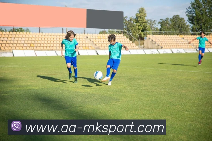 App Interface Preview