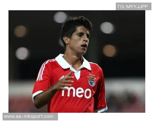 国米新闻网报道坎塞洛薪水分担方案国米承担300万新月负责剩余450万