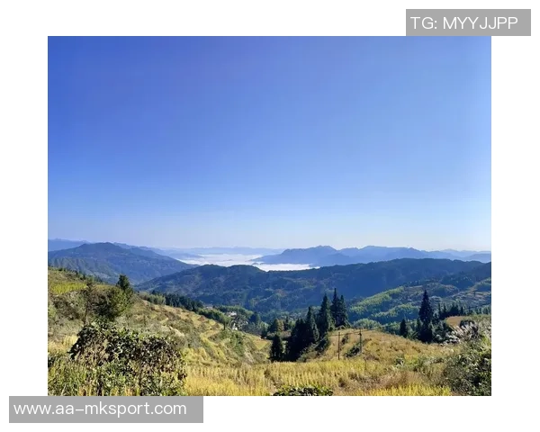 布克谈迈阿密天气变化迅速表示自己并未过于关注阴雨情况