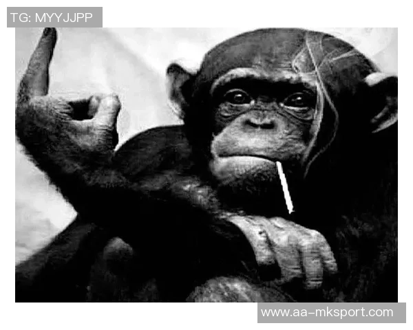 米兰与迈尼昂经纪人接触展望球员未来乐观情绪上升